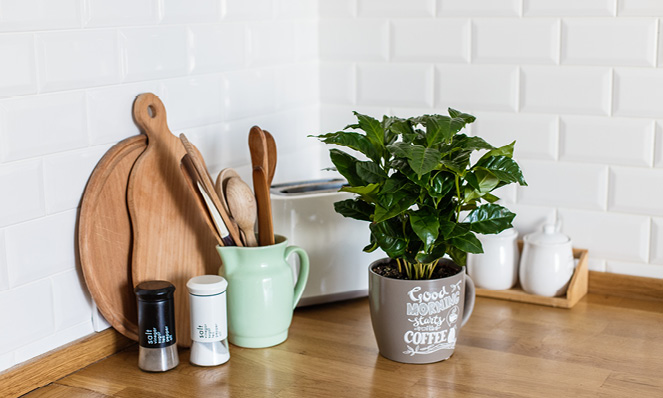 cutting-board-kitchens-space-herbs-salt-pepper-shakers-wooden-utensils