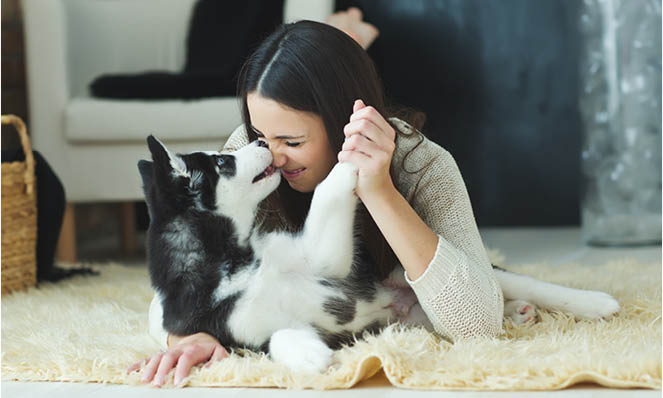 woman-playing-with-baby-husky-on-floor