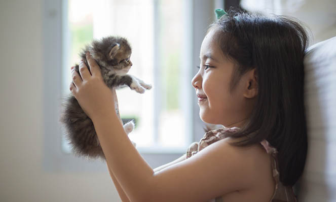 young-girl-smiling-looking-at-grey-and-white-kitten