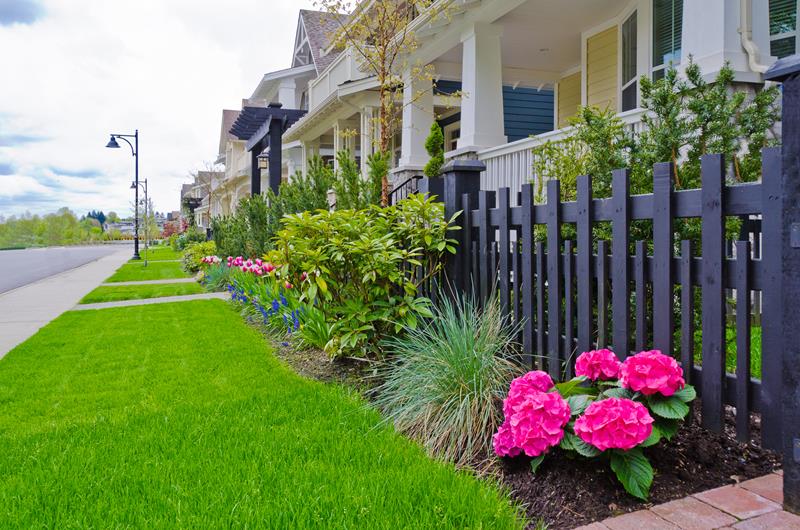 Houses in suburb at spring in America