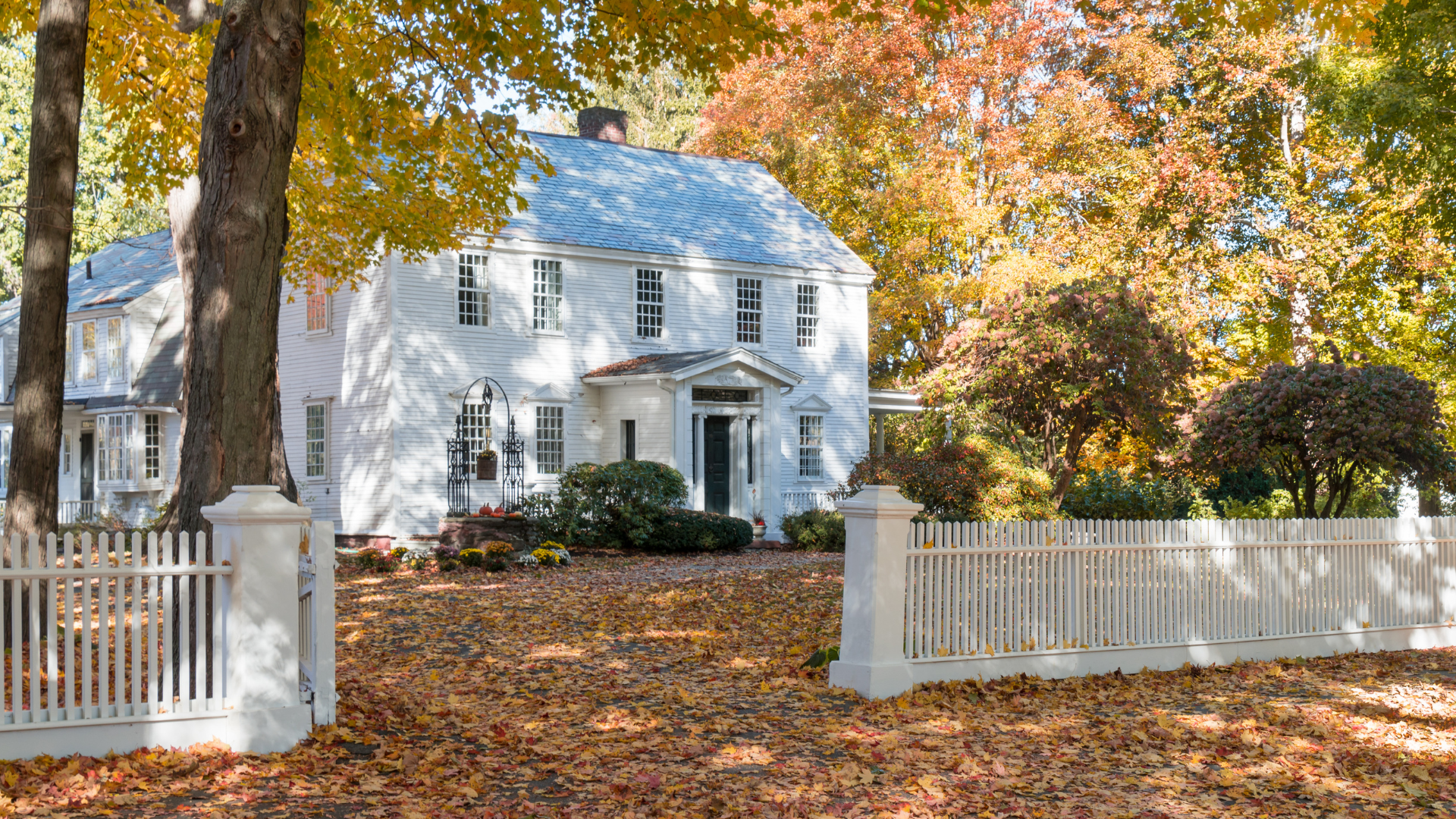 house-exterior-surrounded-by-fall-leaves