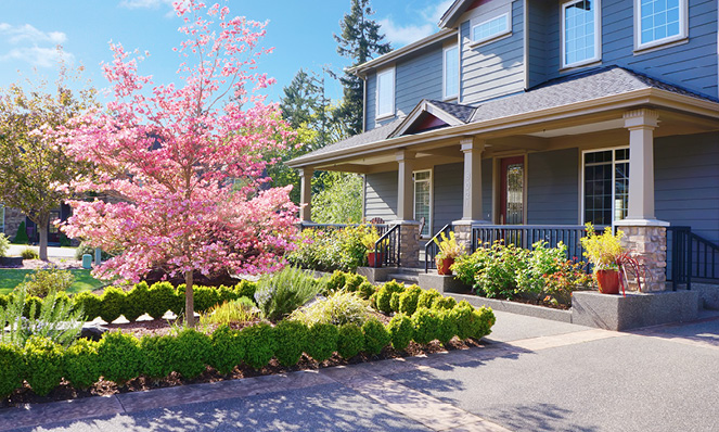 blue-house-pink-floral-tree-green-landscaping