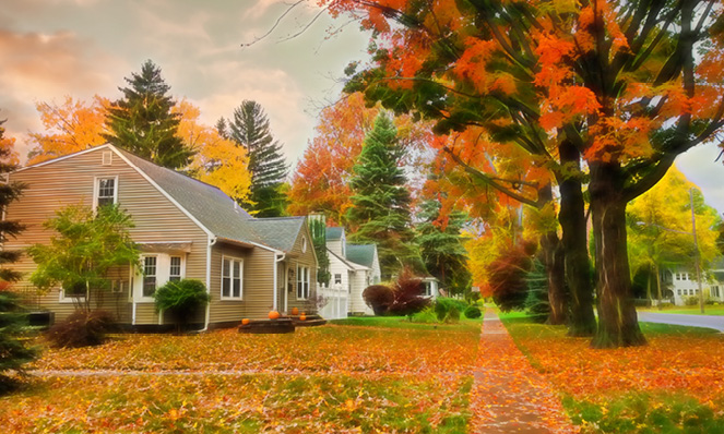 fall-residential-neighborhood-leaves-on-ground