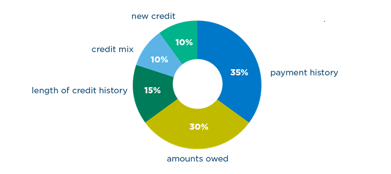 credit-score-break-pie-chart