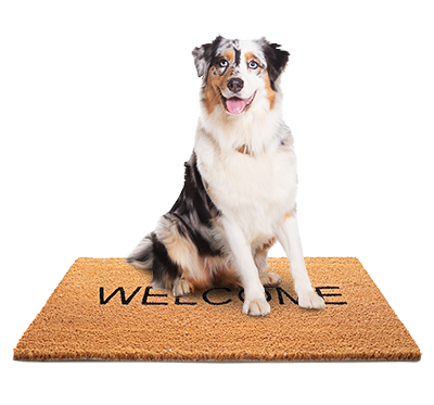 australian-shepard-welcome-mat