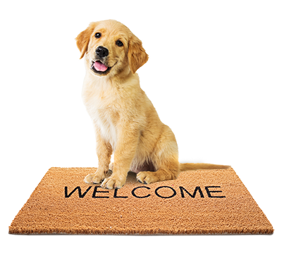 golden-puppy-welcome-mat